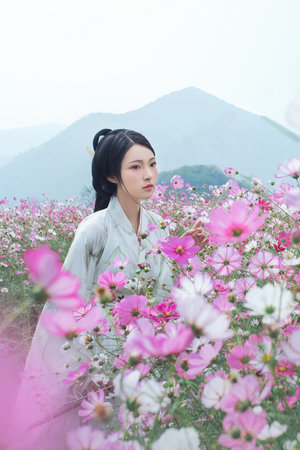 咏春传奇高清