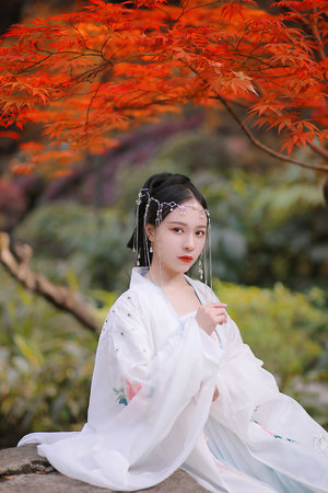 无颜之月免费观看完整版在线