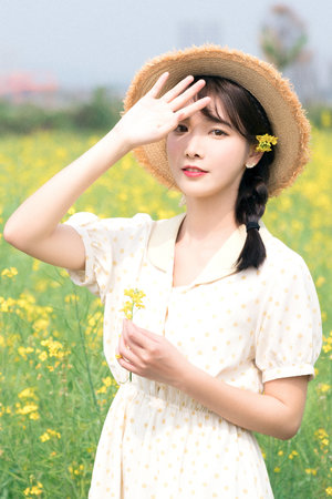 姐姐4电视剧在线观看高清免费版