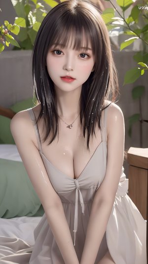 海参视频app下载