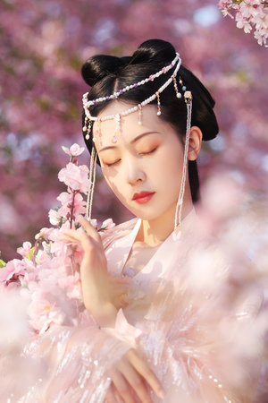 2023最新反黑反贪电视剧