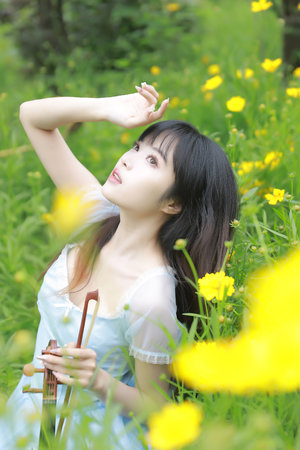 我站在桥上看风景电视剧