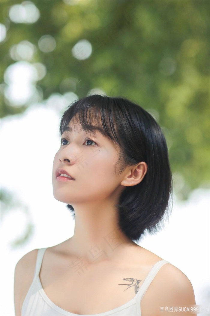 成人一极毛片