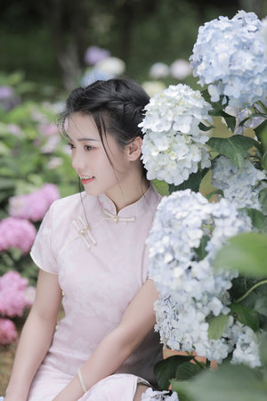 康熙王朝50集全集高清
