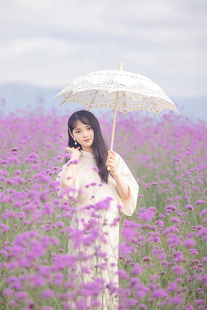 《苹果》
